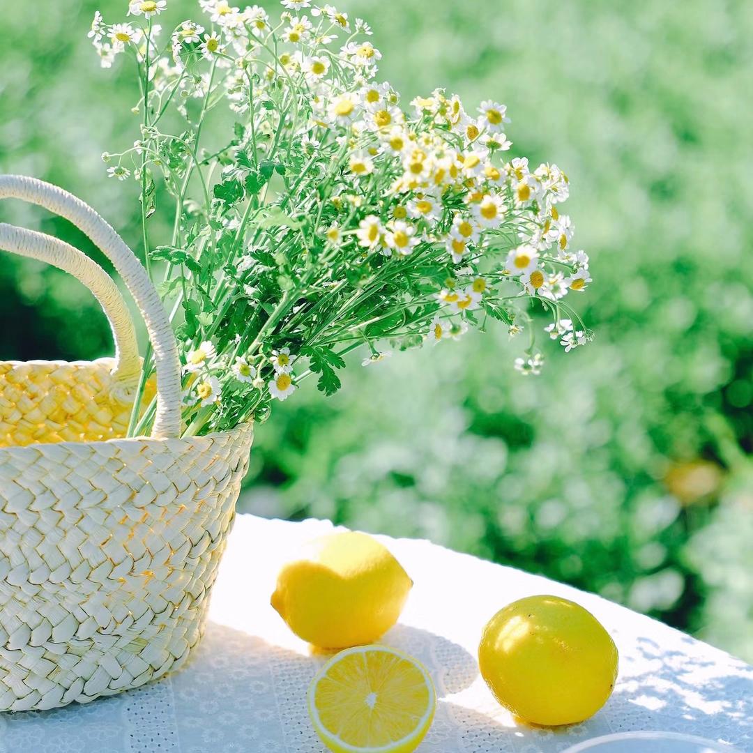 布丁の可颂坊🍋