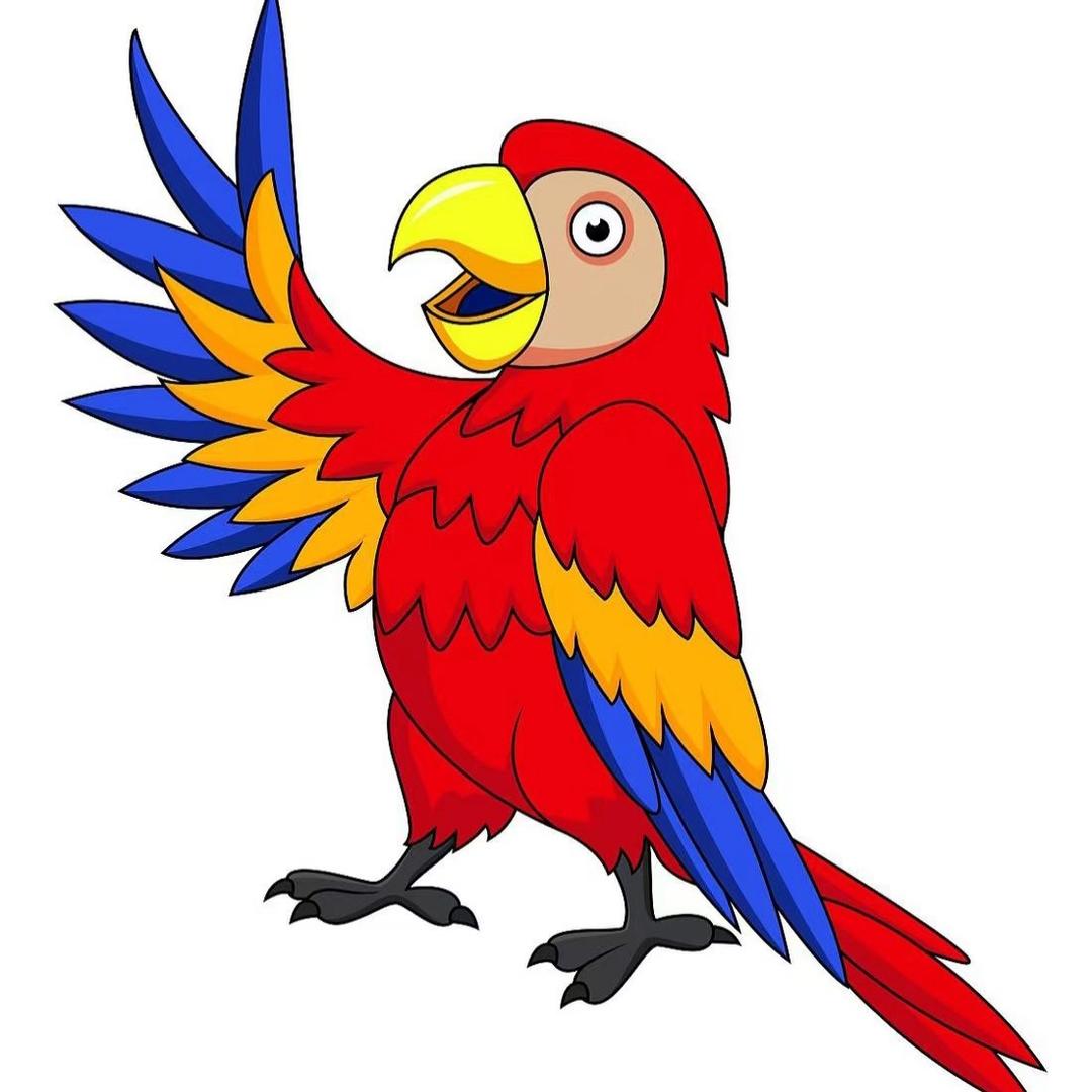 养鹦小技巧🦜