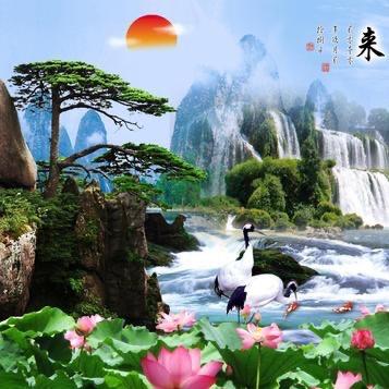 阳阳奶奶