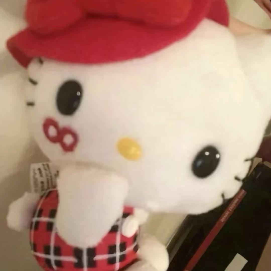 善解人意的小女骸