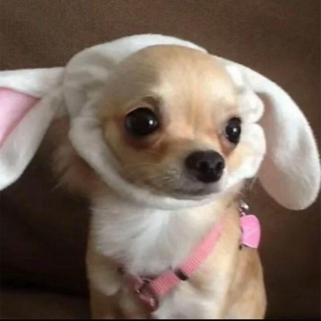 老公站街我数钱