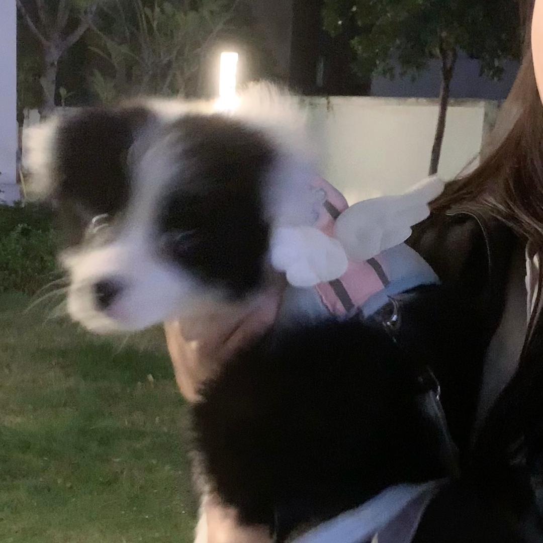 钱钱的成长日记