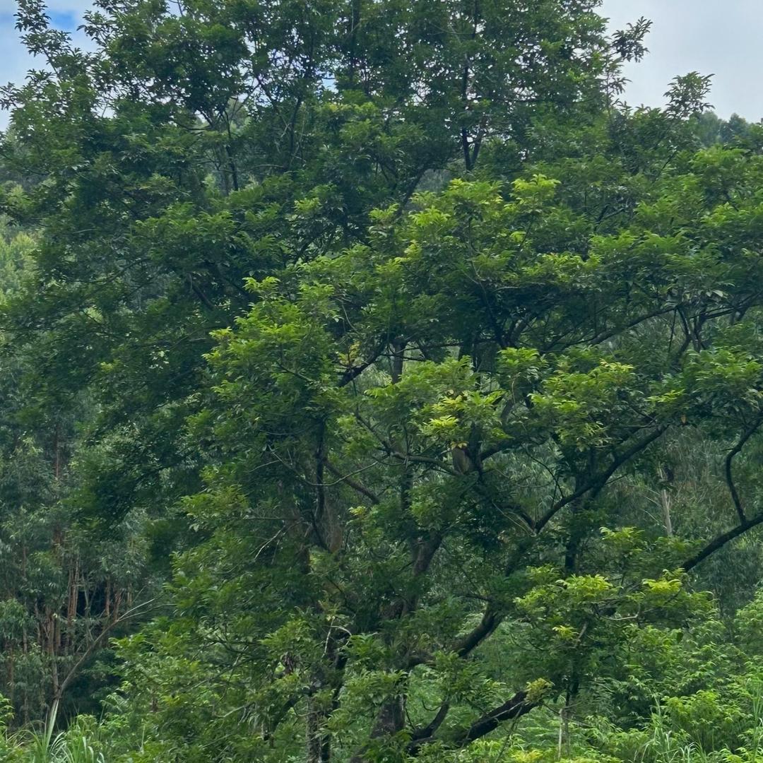 win win.          🪳