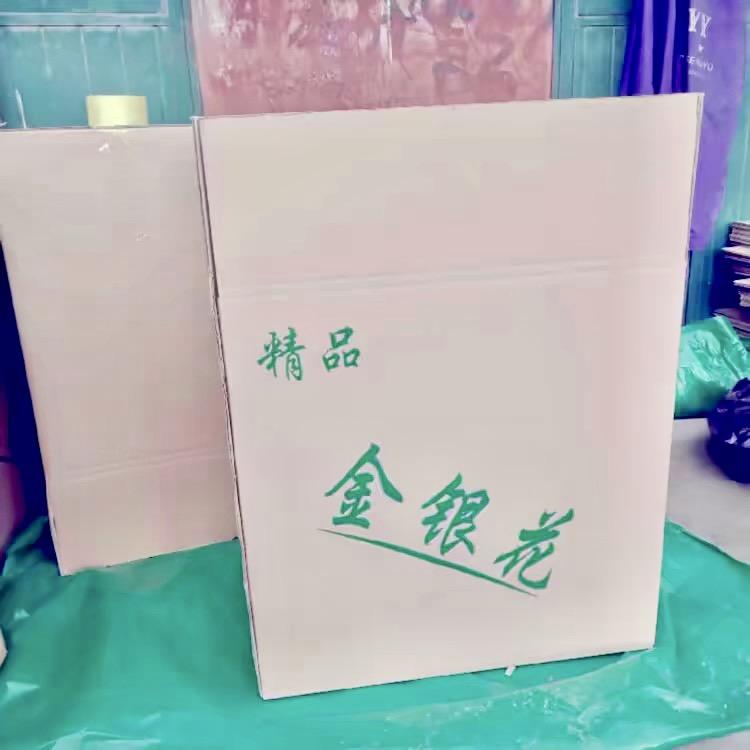 河北省巨鹿县金银花