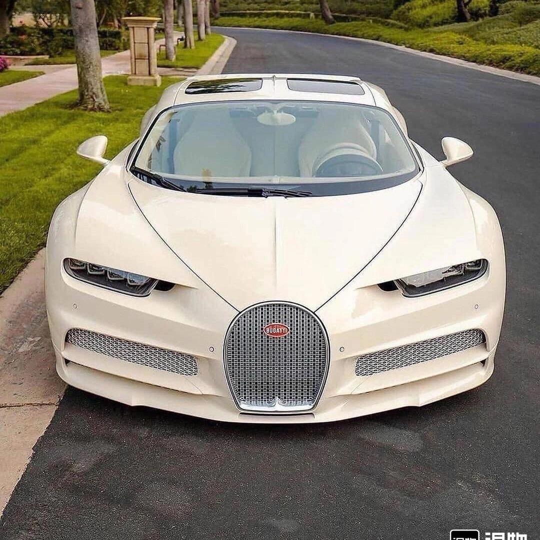 懂车不懂车？