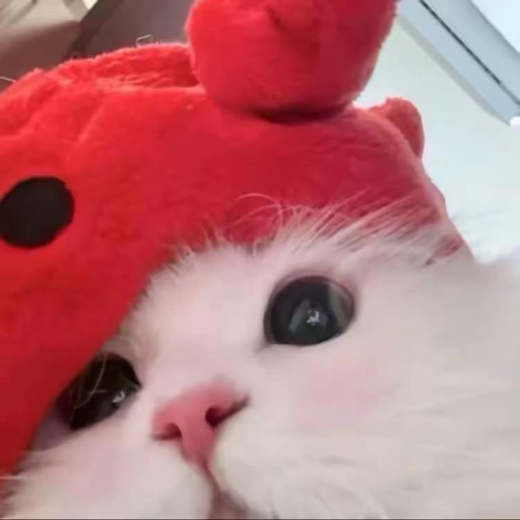 不想哭