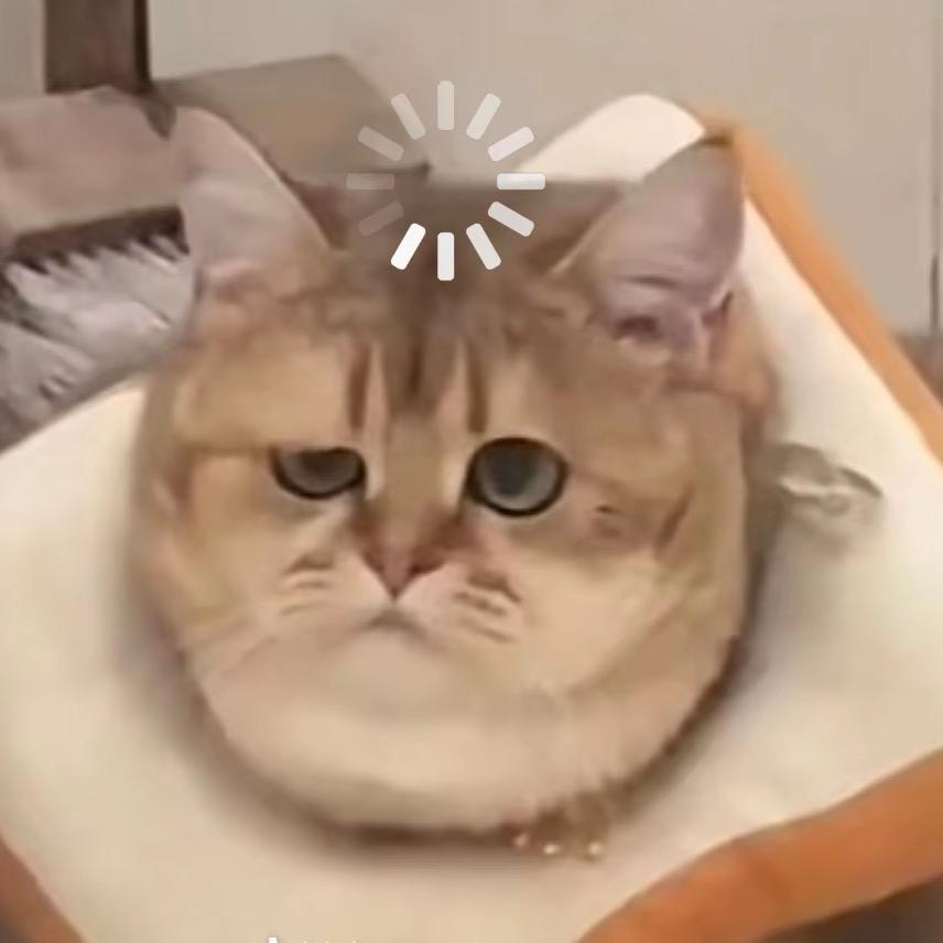 侦探柯北
