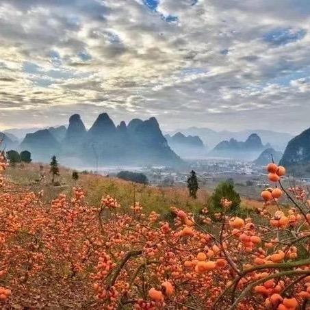 岁月静好的样子