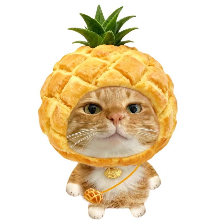 橘子🍊