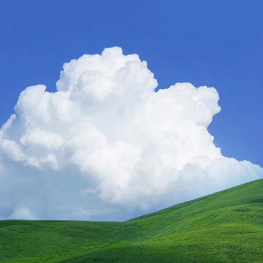 张