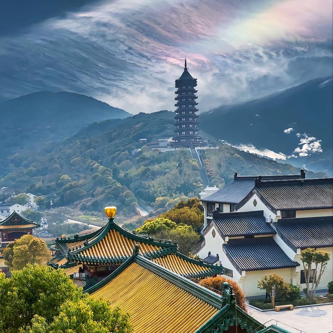 林泓锦