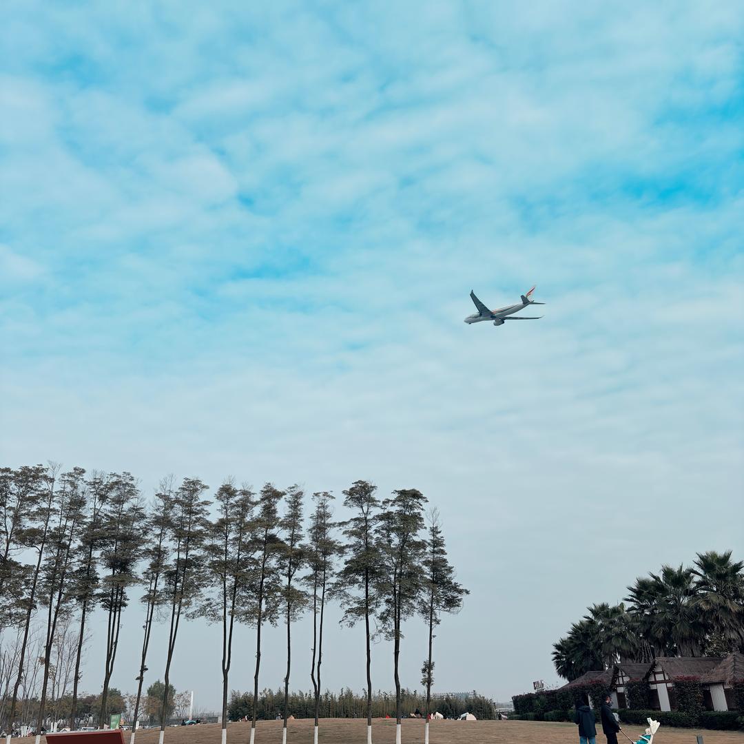 迷一样的呆