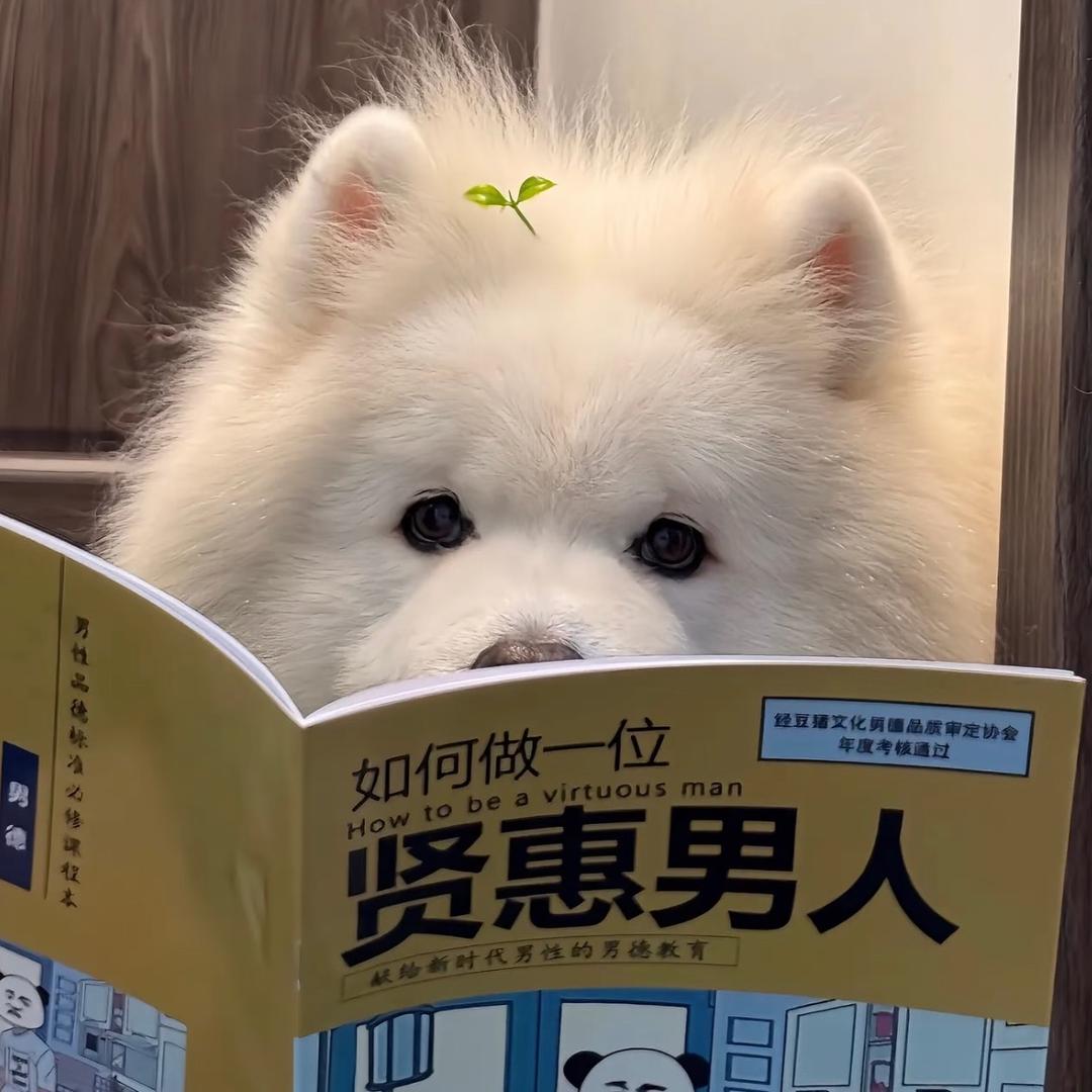 你真没品