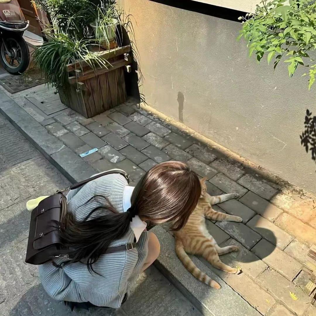 想睡个好觉ᯅ̈