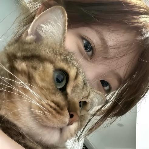 小芝麻嘻嘻