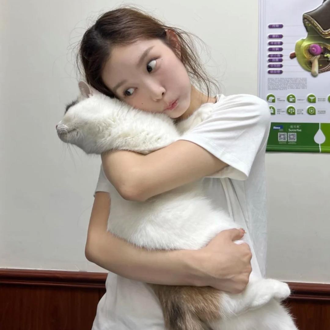 鲨仔