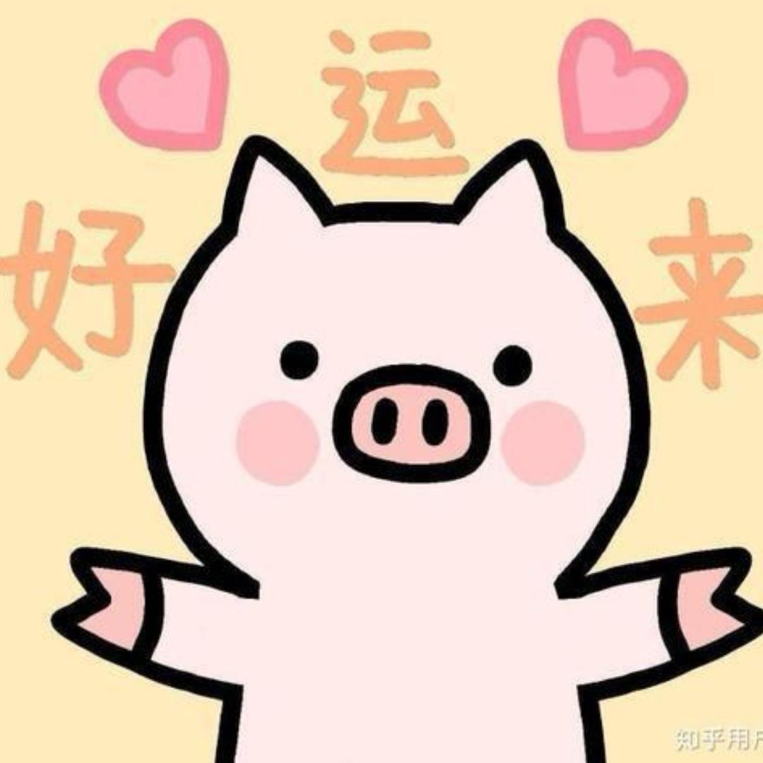 小白菜