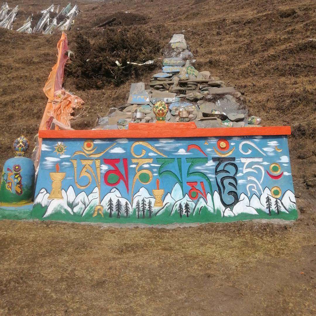 天天开心🍎，1376