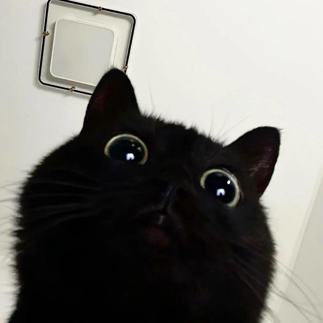 ㅤ是宇 ㅤㅤㅤ   ㅤㅤ    ㅤ