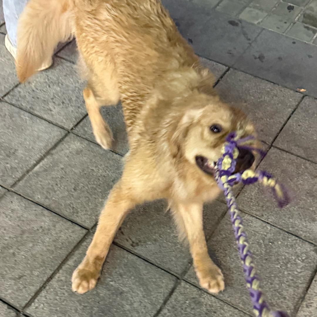 杨芋头的朋友圈