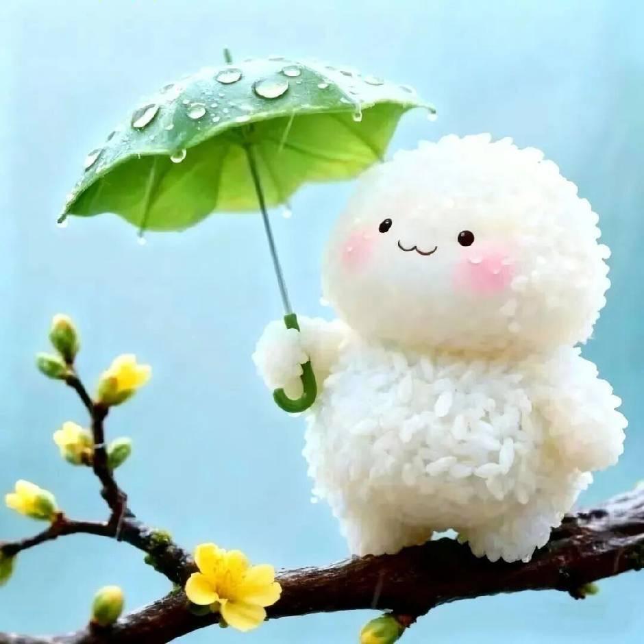 🌱糖豆儿🌱