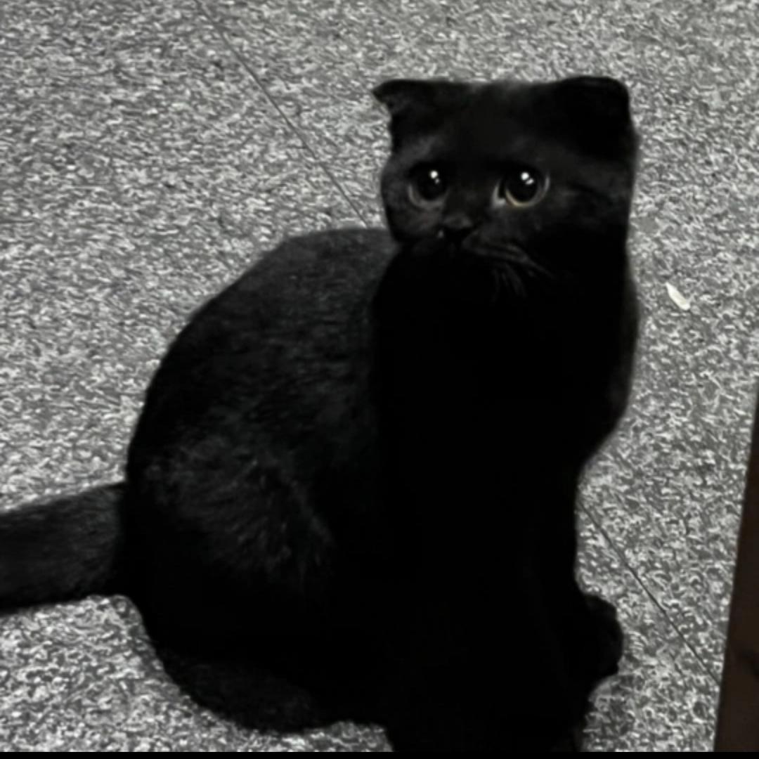 PPMIAO