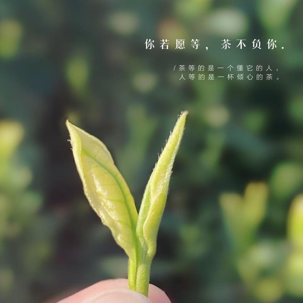 এ᭄ꦿ꯭ ꫛ乄夵💕