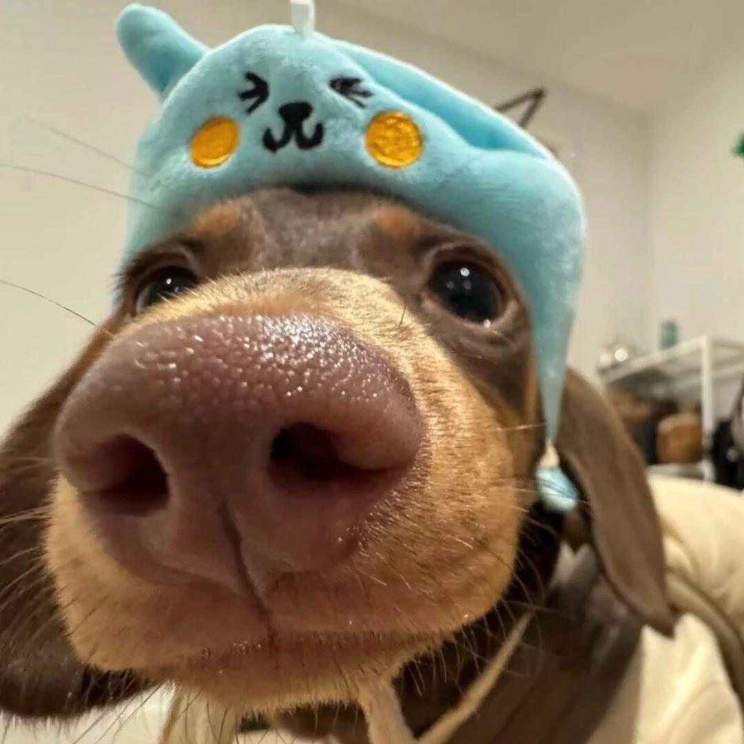 爱是天上水