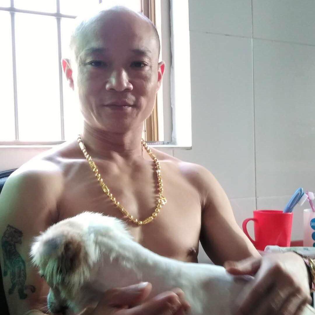 爱玩的光头
