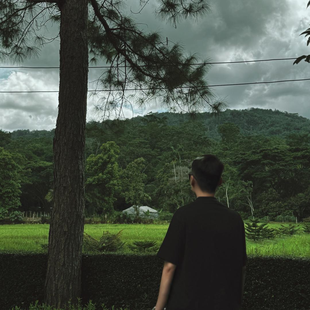 枫子-