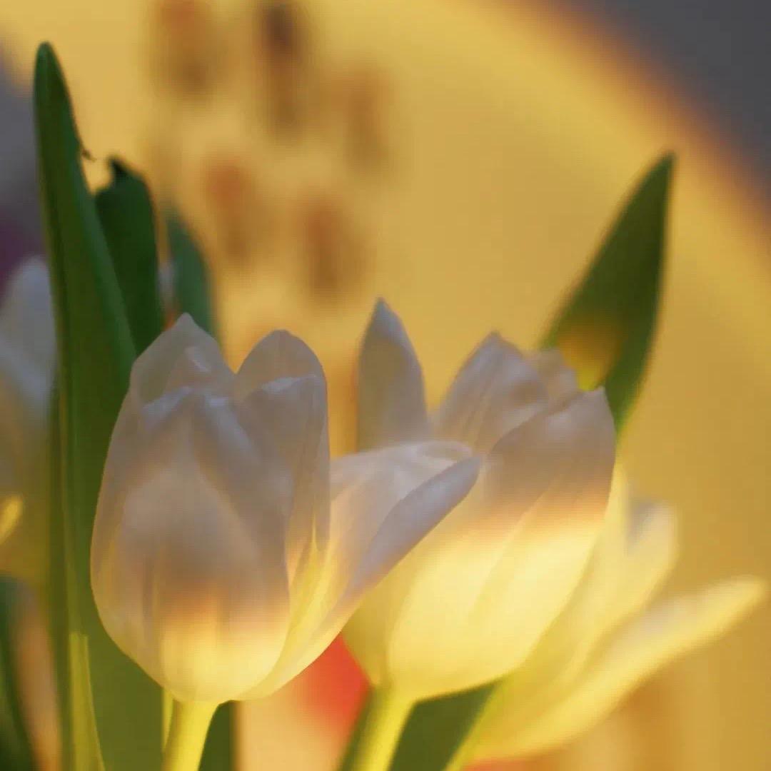 @ᶫᵒᵛᵉ  D.💛