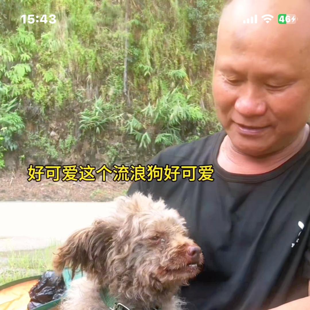 大叔和流浪狗