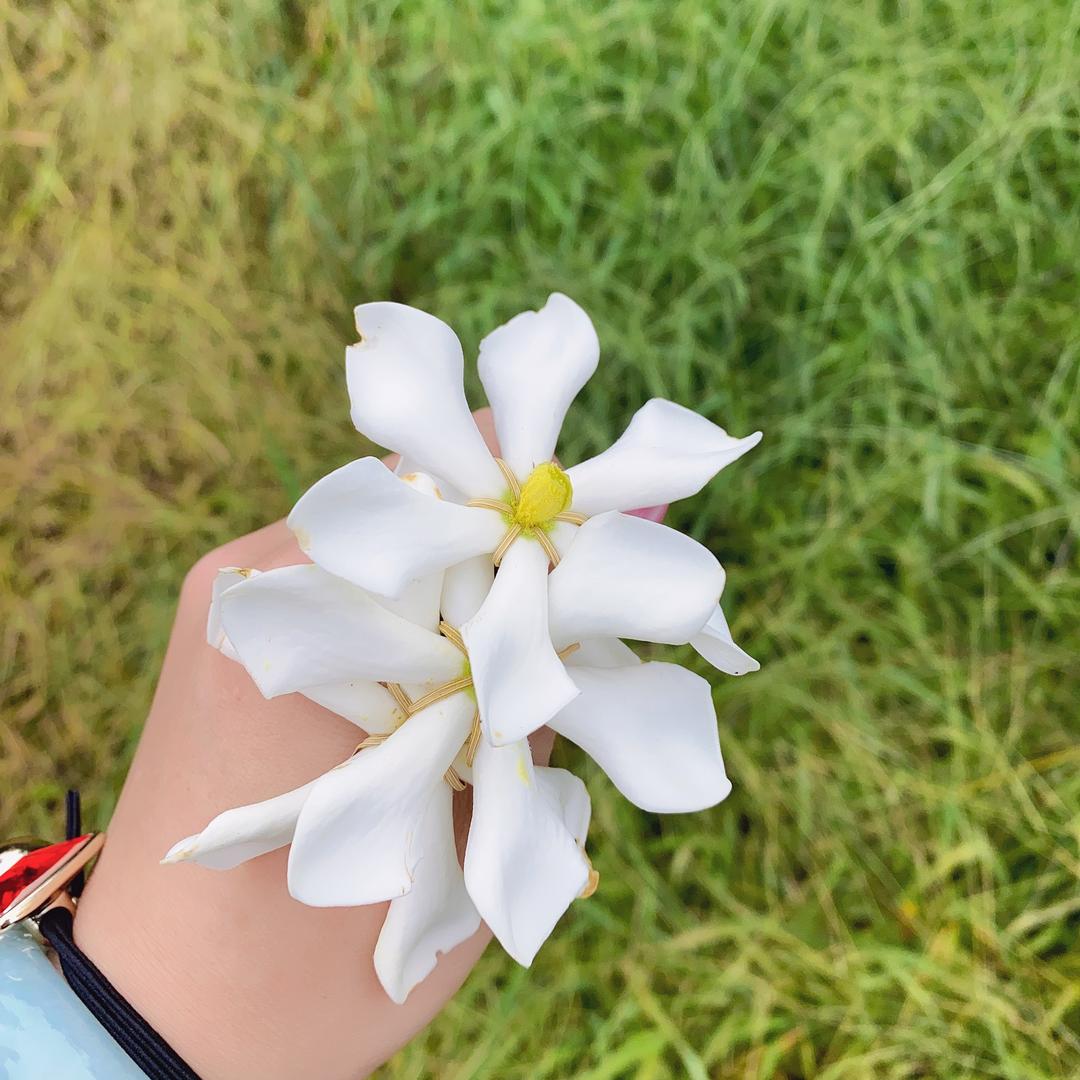 沉默