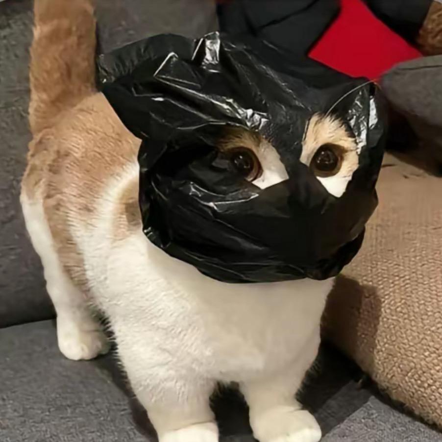 ……