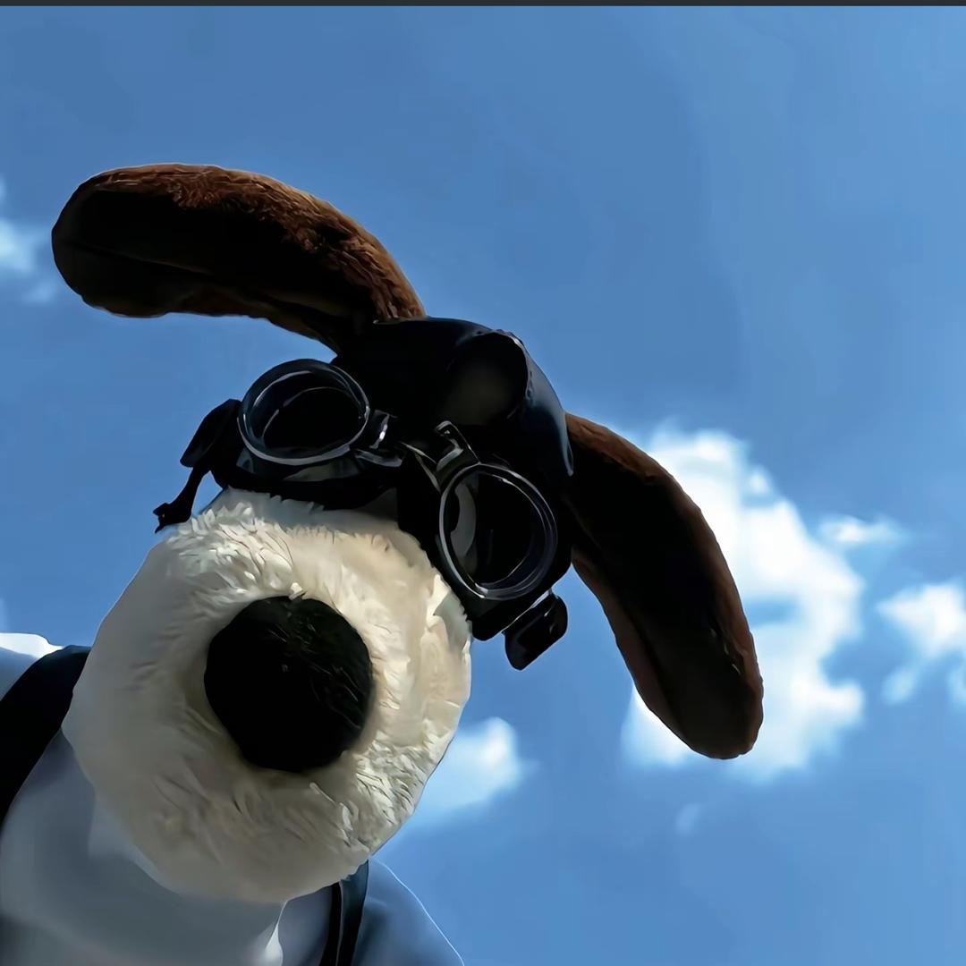 🌞太阳💵💸🏦