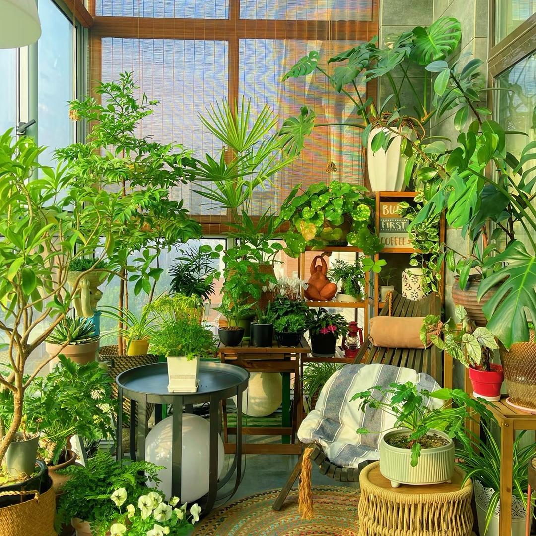乐乐的宝藏小屋