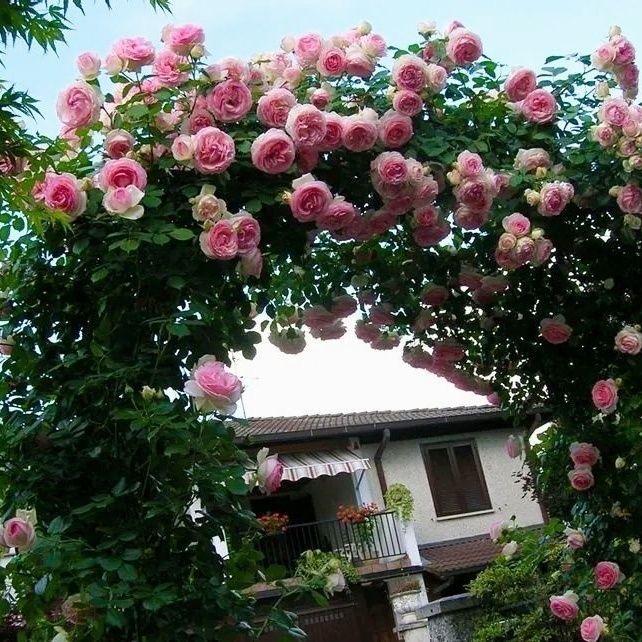 花自在园艺坊