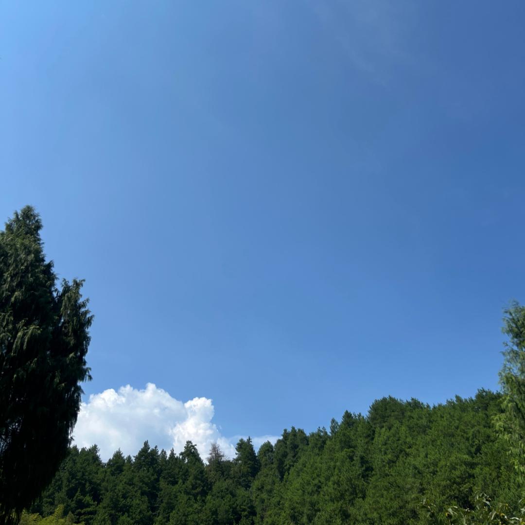 :ღ᭄ꦿ꯭凉了心湿了眼 ꧔ꦿএ᭄🦋
