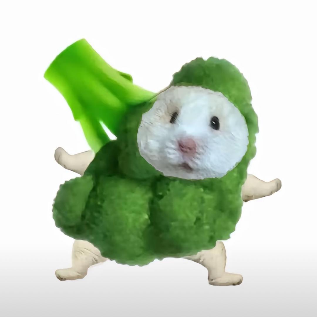 麻辣烫烫烫烫烫