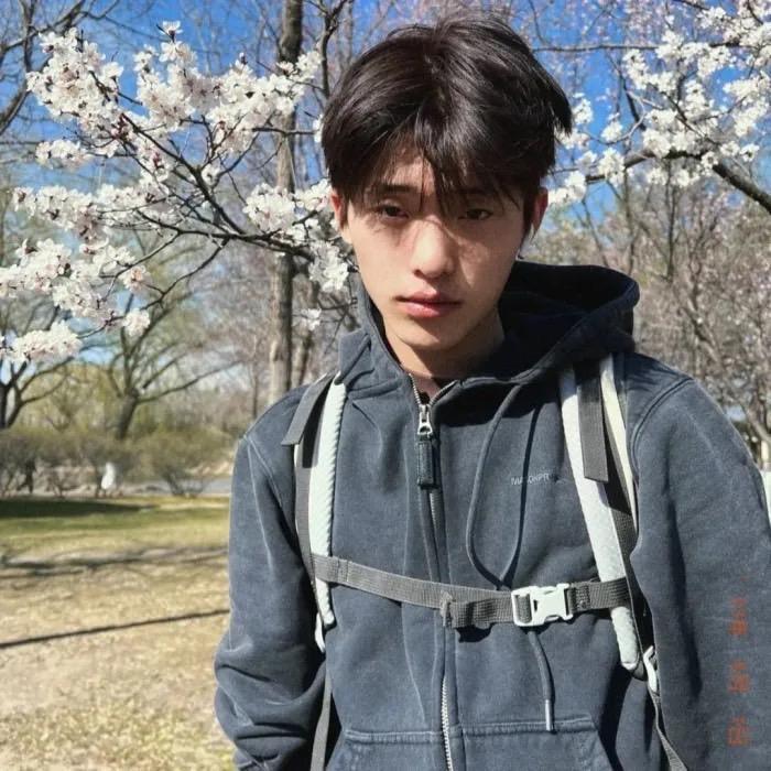 窝亿👊打碎蛋糕