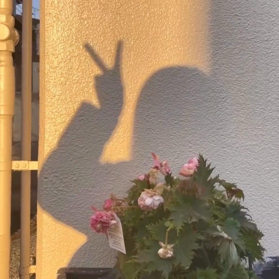 🐶
