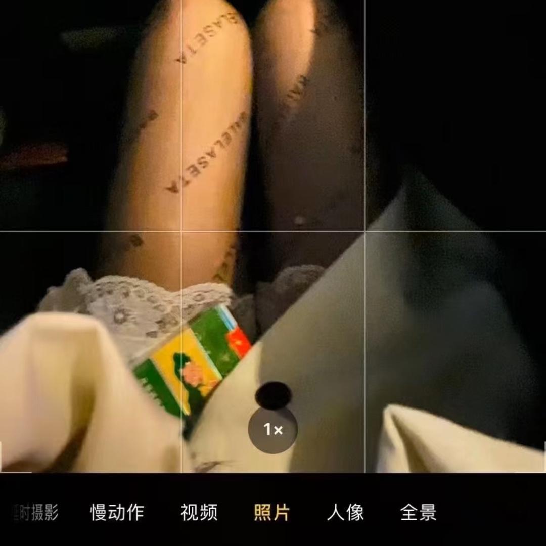 不要打打鲨鲨☘️