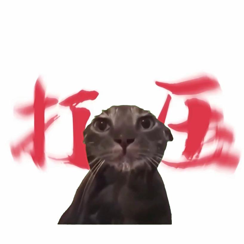 贪玩的2288