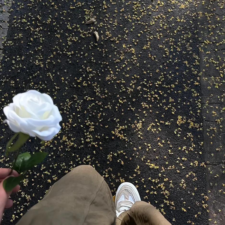 档口老板啊辉