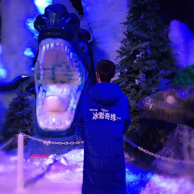 鲤不可飞