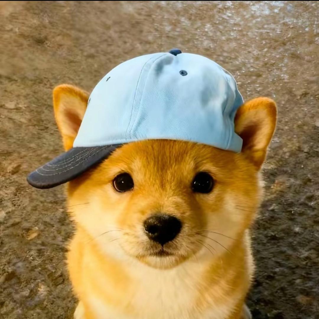 程子不在.