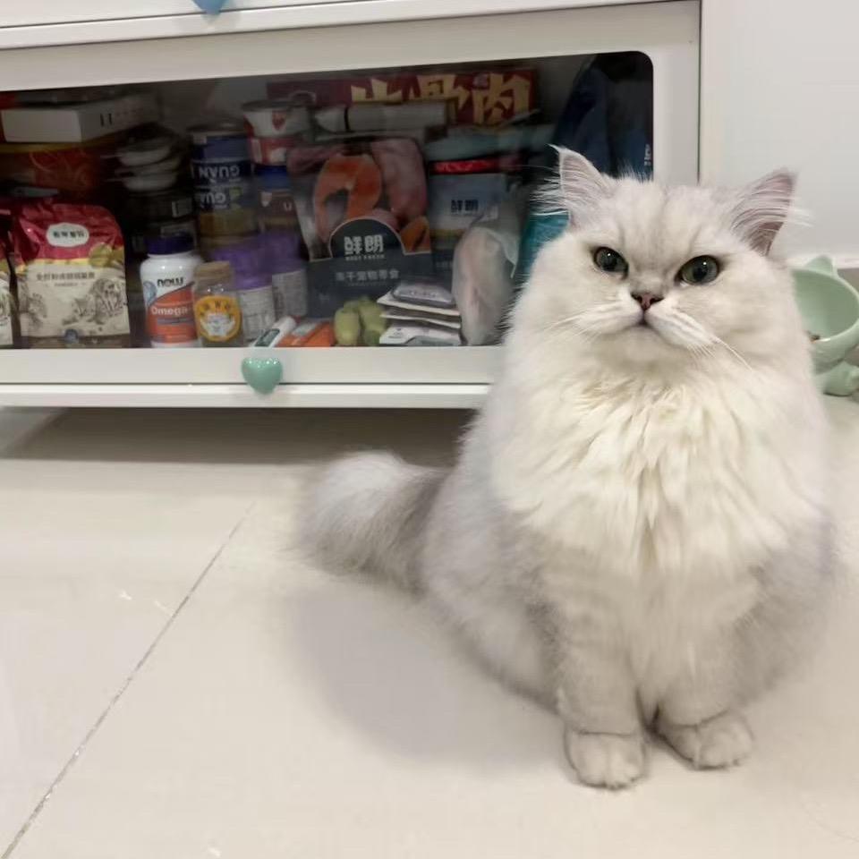 小许又困了