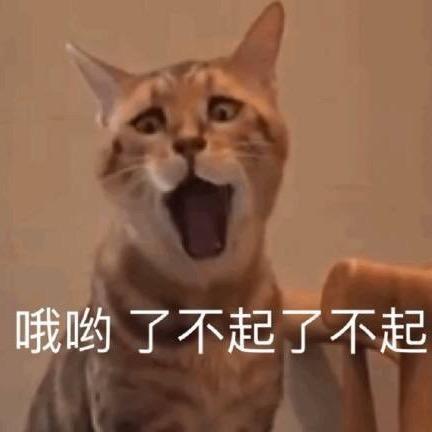 随便取个名字！