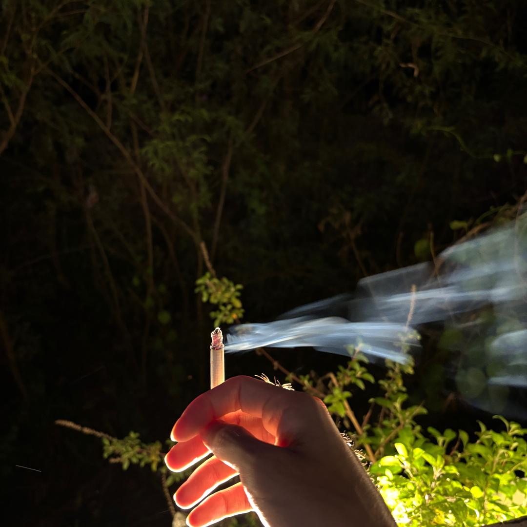 醉的懵