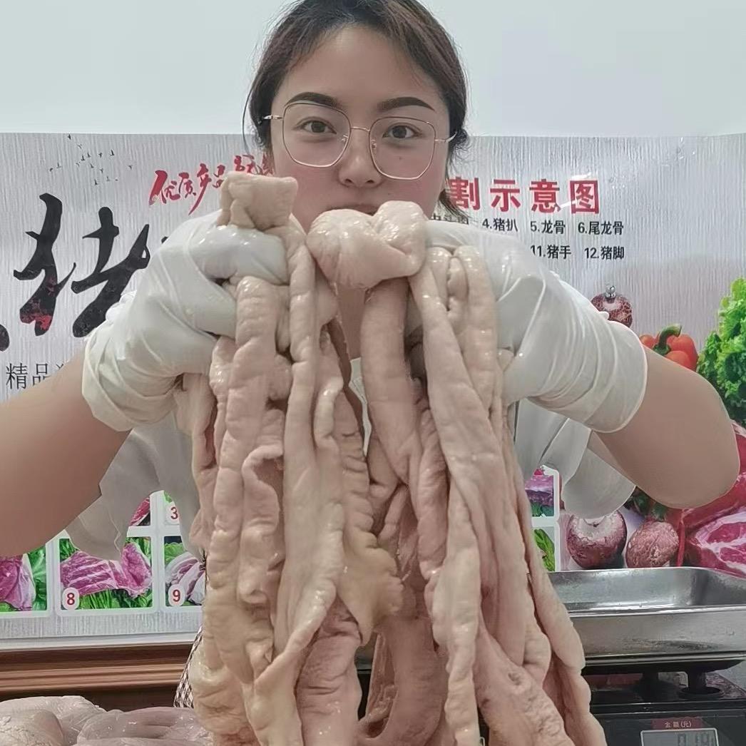猪葛亮